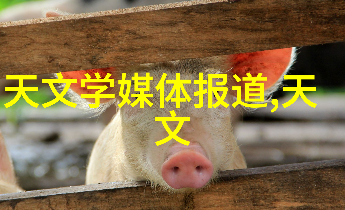 湖北日报竖版世界地图政区版出版发行
