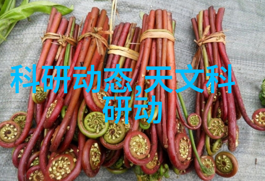 中国国产新冠特效药研究与应用概述