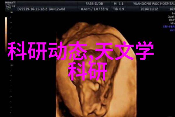丽维家居生活丽洁舒适的家居环境