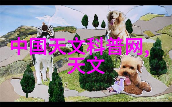 一次成型制砂机的应用与优势分析