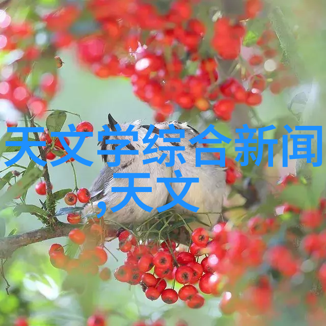 小型电热蒸汽发生器我的家用新宠儿