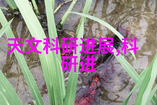 装修风尚家居美学的完美展示
