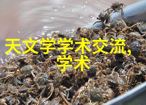 dds-11a电导率仪如何准确测量水质