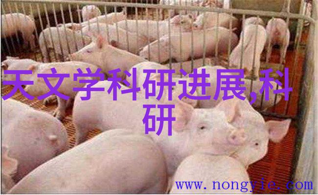 卧室墙面颜色搭配大揭秘正规装修全包详细清单让你的睡眠质量提升