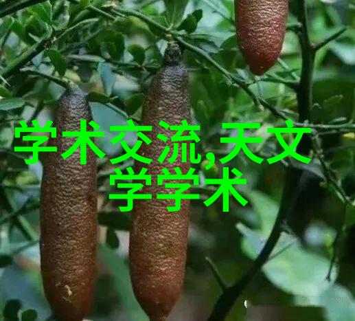 北京律师守护京城正义的法律卫士