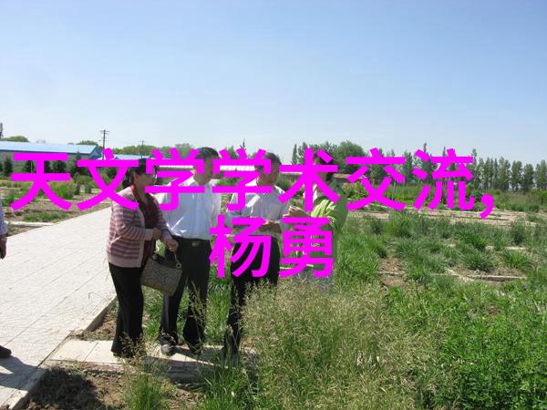 豪华卫浴简约空间只装卫生间装修公司的艺术挑战