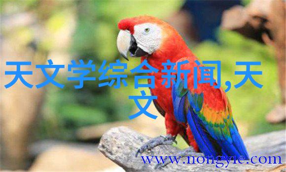 工业废气净化设备工程高效脱硫系统