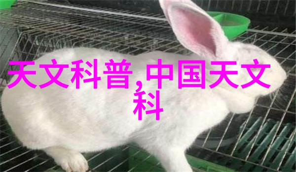 洛如缨宁夜辰小说叫什么名字-幻境织女洛如缨宁夜辰的奇幻之旅
