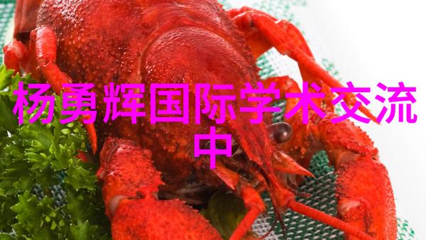德国矿泉水全自动生产线从地下到瓶中流淌着纯净与幽默的源泉