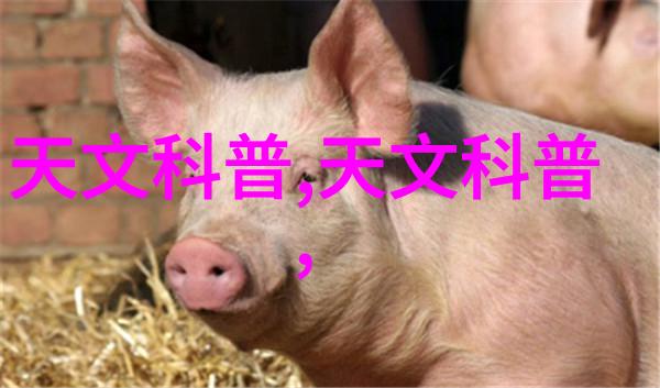 樱桃琥珀香水温馨甜美的芳香体验