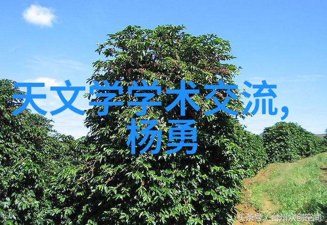 小户型装修设计公司专业的空间优化与美学创造者