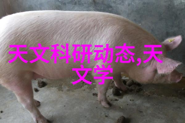 探秘附近不锈钢管批发市场了解其运作机制