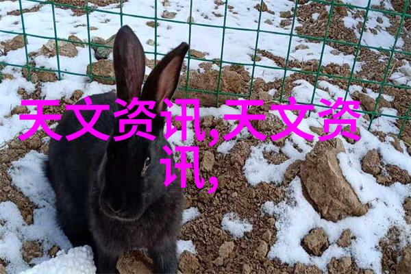 钢管消防涂塑生产厂家如何确保产品质量