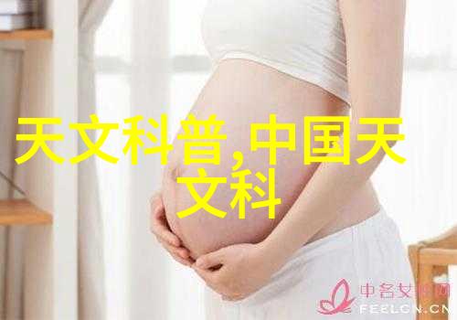 化学反应器内部构件反应介质混合装置加热系统