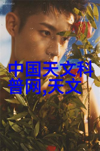 未来几年化工胶囊剂机械的发展趋势将向哪个方向发展