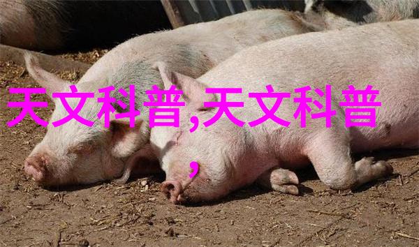 高品质不锈钢波纹填料生产工艺解析