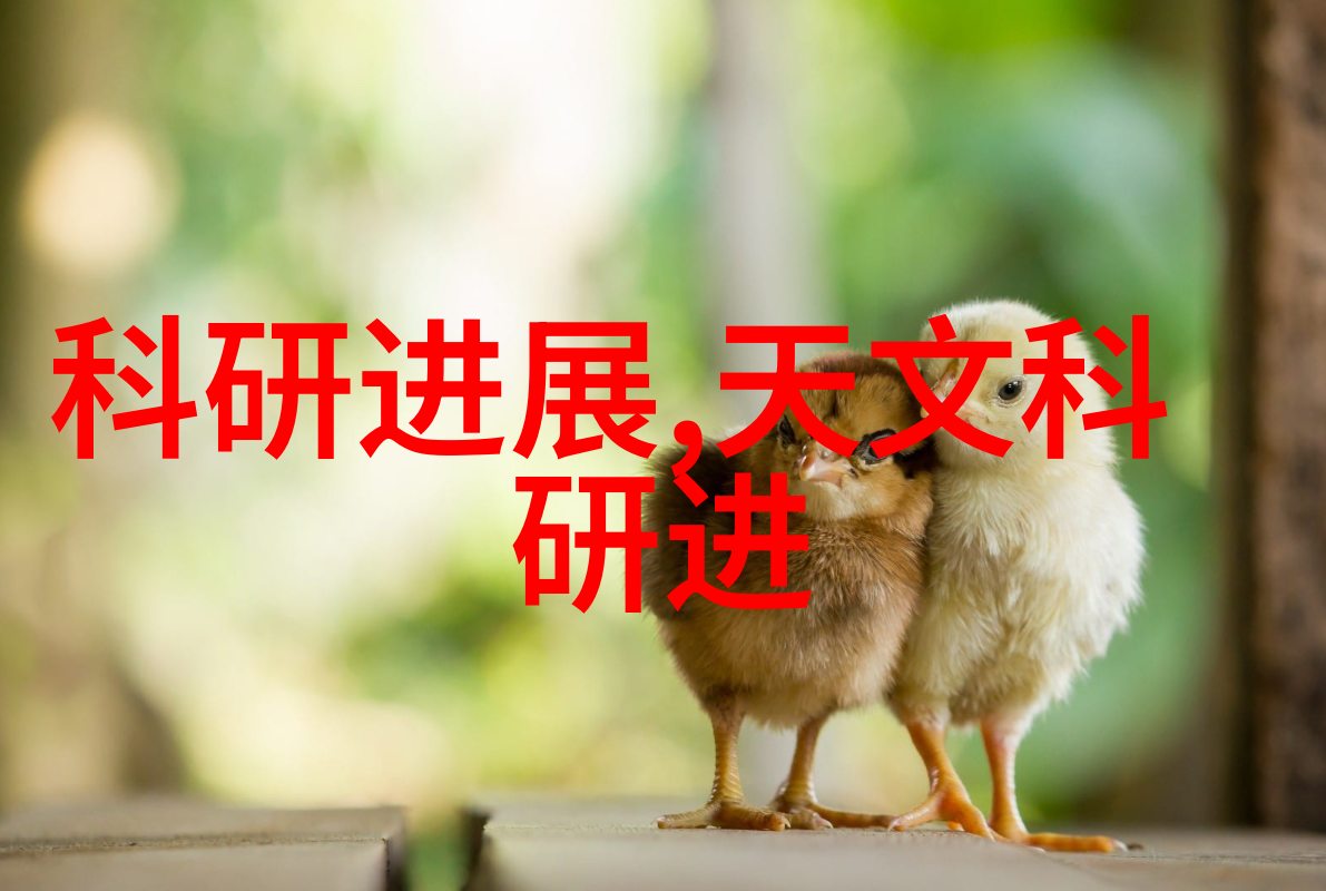 南山学府研究生院的智慧之巅