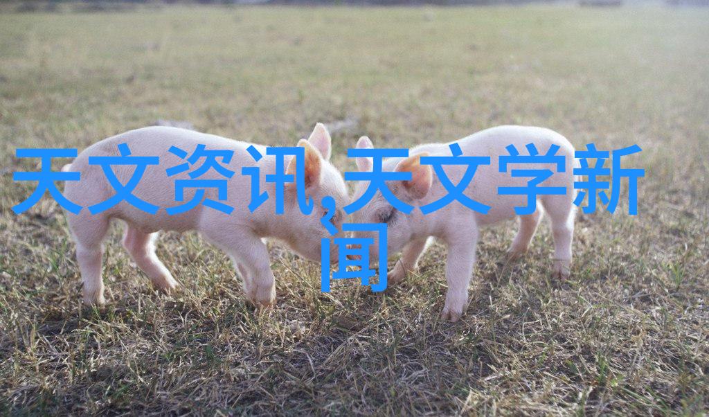 蜂窝铝板轻质强韧的新材料革新
