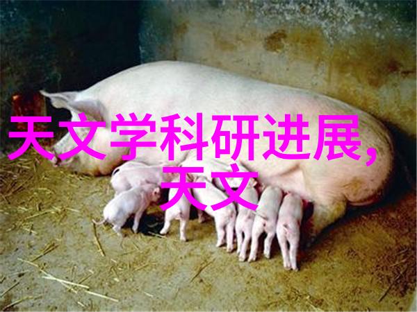 室外水电安装施工方案与卫生间防水同样重要防水工作需谨慎进行