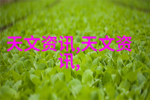 安徽职业技术学院有没有国际合作交流项目
