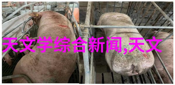 如何选择合适的不锈钢波纹填料供应商