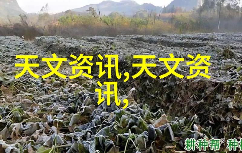 猫头鹰视角下的软件测试艺术凡猫培训引领未来