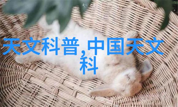 通道式自动喷淋消毒系统清洁效率的新标准