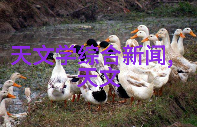 包装检测设备-确保质量与安全的关键工具