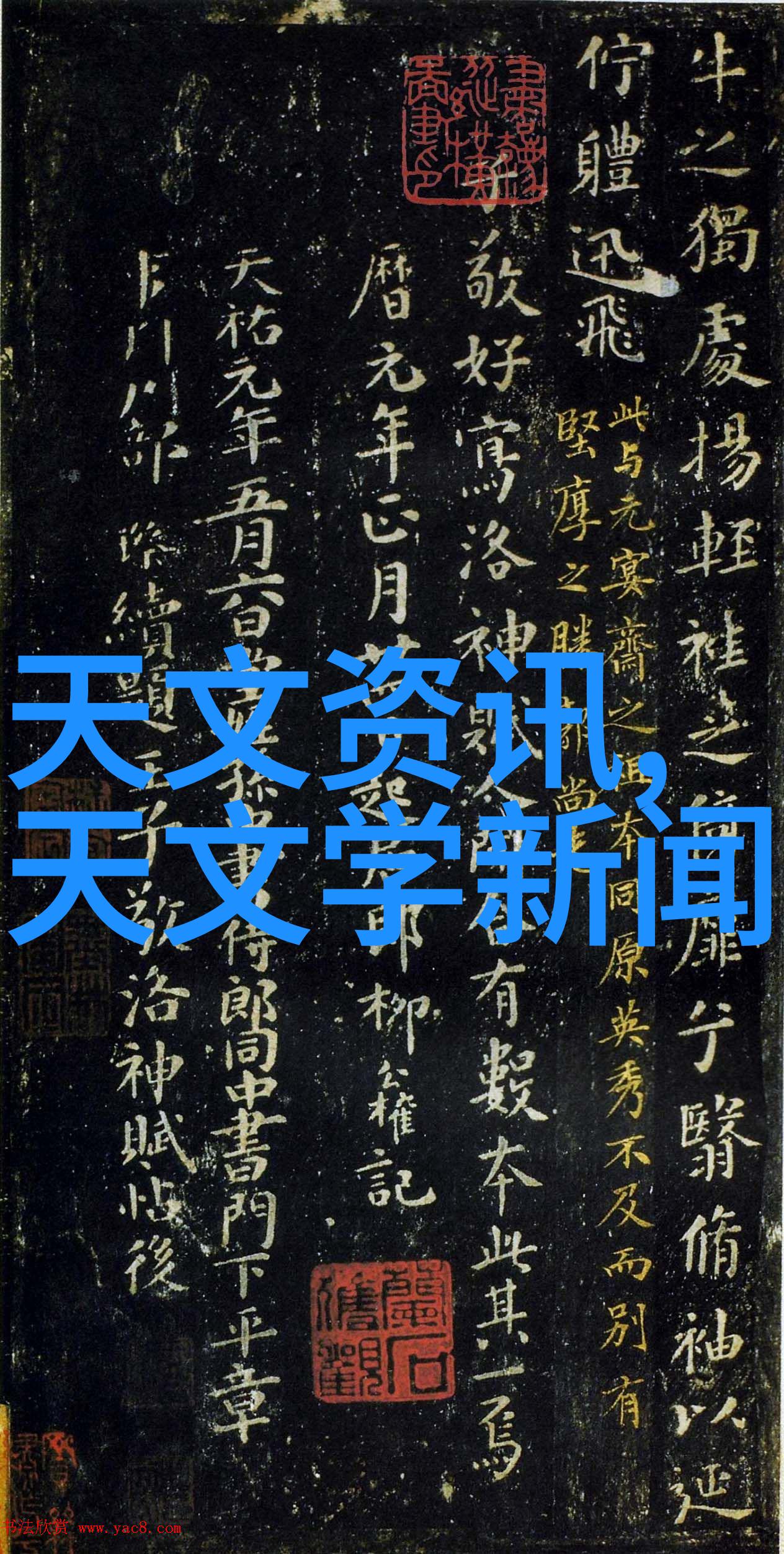 自我总结报告我的人生通行证