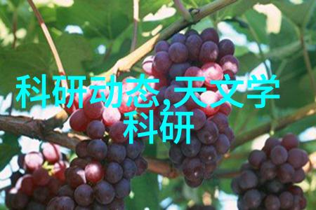 龙眼荔枝奇缘世界首个杂交新品种诞生甜味双重奏鸣