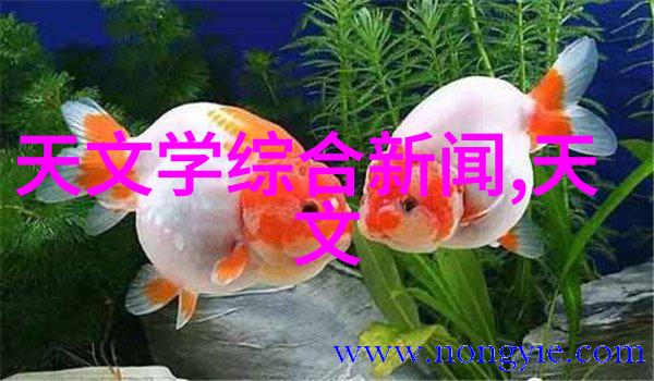 塑料管流浪的绿色守望者