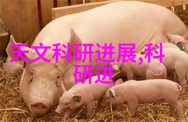 豪华酒店厨房装修效果图创意与实用并重的美食工厂