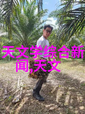 市场震荡下的上证指数实时调整策略探讨