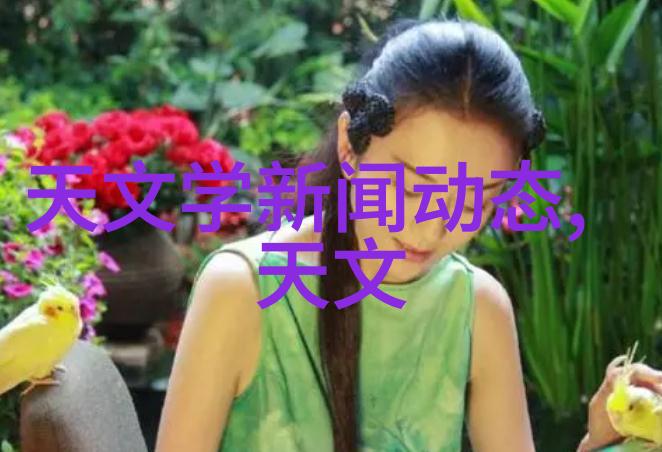 工业级别的管式换热器在不同行业中的应用与挑战