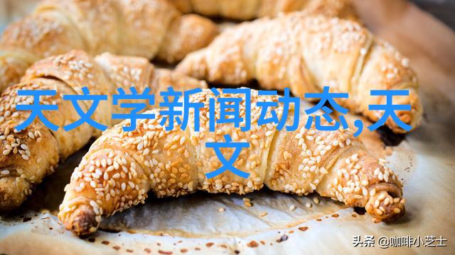 低温干燥技术的精妙之处冷冻干燥机的内部世界