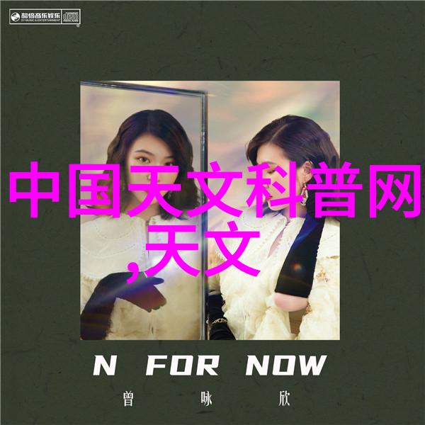 古典韵味绽放探索传统装饰艺术的完美呈现