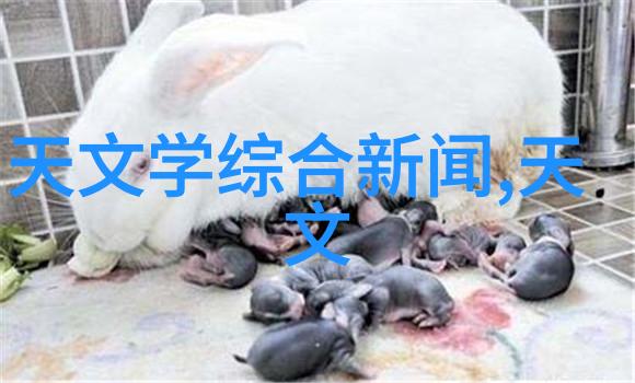 多功能流化床技术的革命性影响