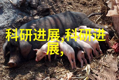 tds水质检测标准直饮水的质量检测