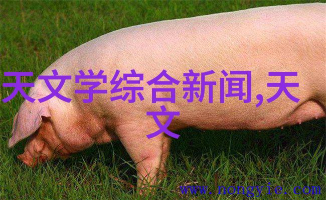 华联股份隐秘的纽带与无形的连结