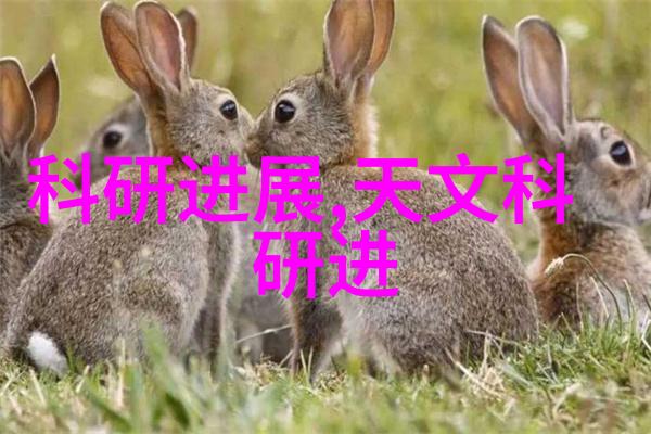 化工其他制剂设备我来告诉你这些不常见的好帮手