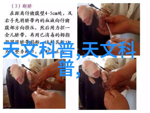 水质检测大师揭秘那些能够揭示水源健康的关键工具与方法