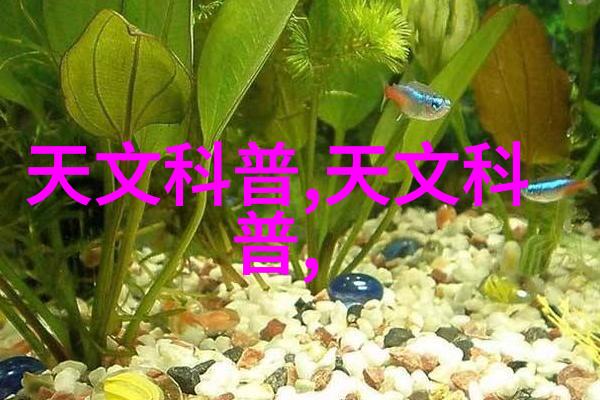 兔狗家装从温馨养宠到奢华生活的反差之旅