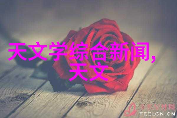 广西财经学院官网背后的故事有哪些