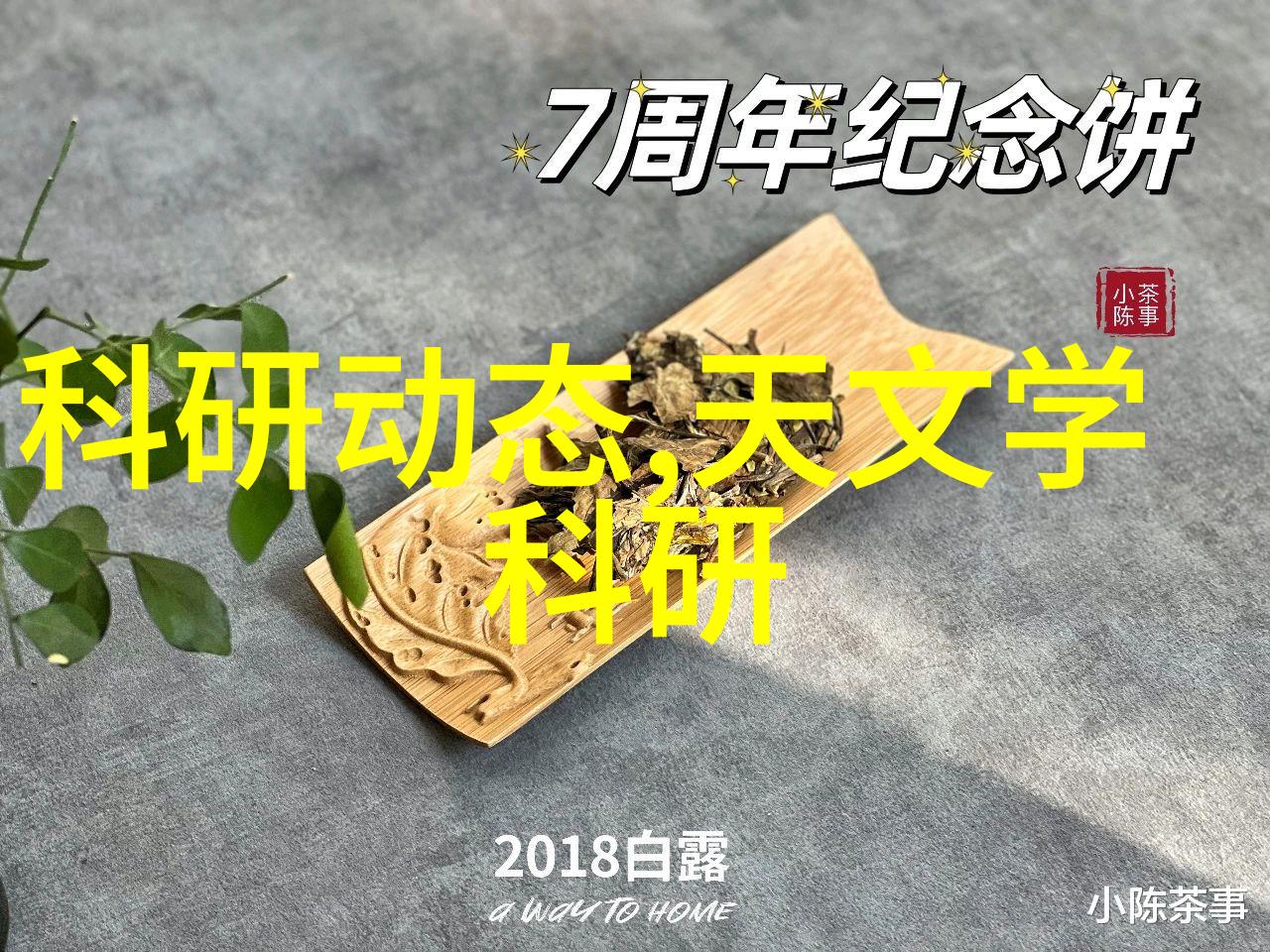 数字芯片微小的智慧巨大的力量探索现代电子产业的核心组件