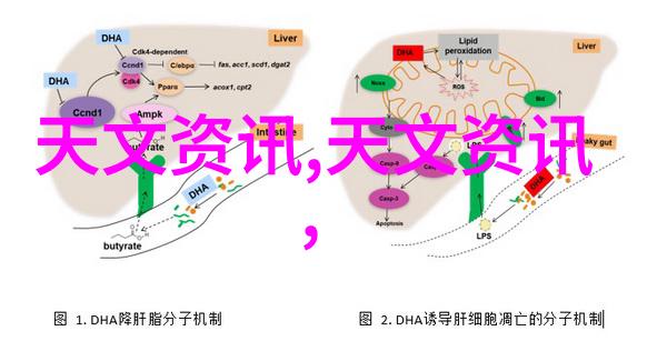 配件的诗意寻觅