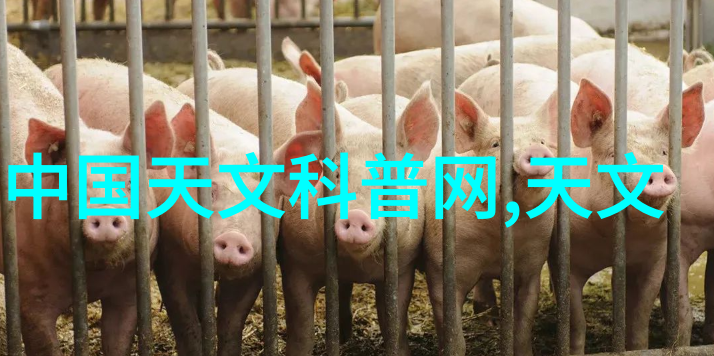 2023年室内装修效果图研究探索空间美学与居住体验的创新融合