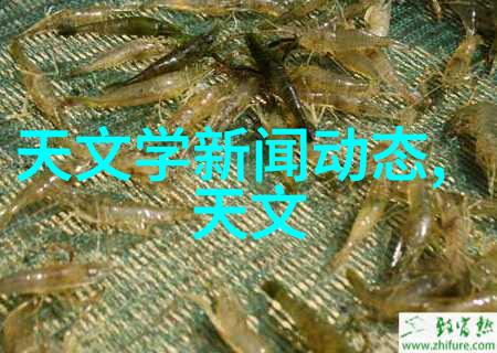 小型生物技术研究实验室所需基本设备列表
