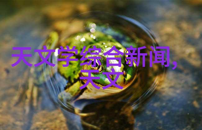 多功能流化床技术的创新应用与未来发展趋势