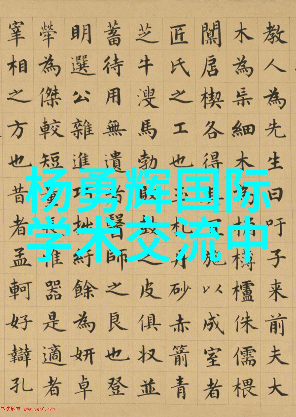 芯片封装-微小奇迹揭秘现代电子行业的精密封装艺术