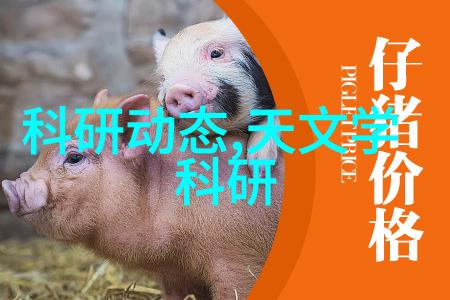 聚氨酯保温管件PE管材寻觅之谜